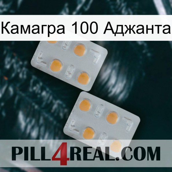 Камагра 100 Аджанта 25.jpg